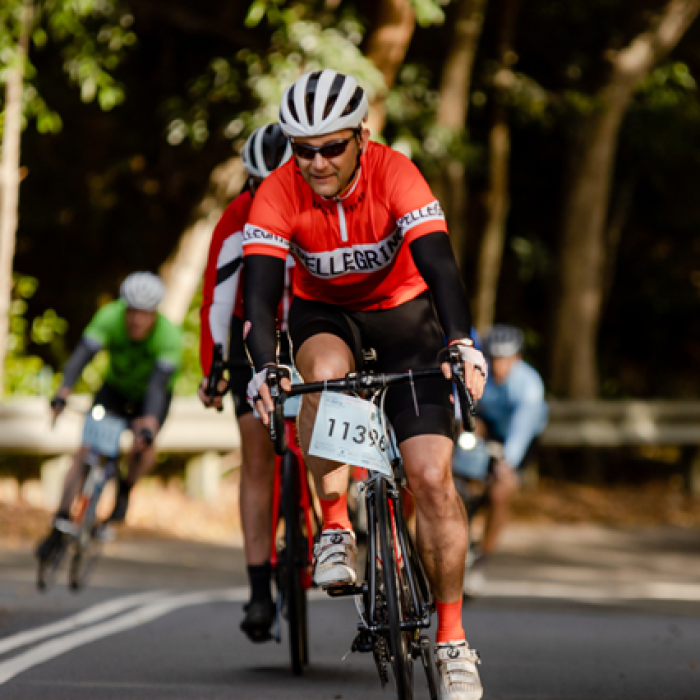 racing cyclists